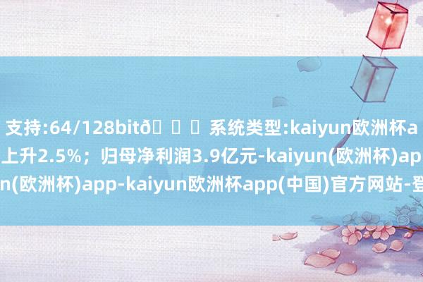 支持:64/128bit🍏系统类型:kaiyun欧洲杯appApp官方下载同比上升2.5%；归母净利润3.9亿元-kaiyun(欧洲杯)app-kaiyun欧洲杯app(中国)官方网站-登录入口