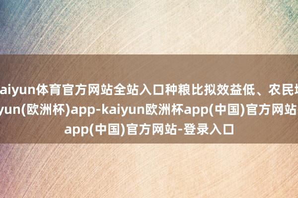 kaiyun体育官方网站全站入口种粮比拟效益低、农民增收难-kaiyun(欧洲杯)app-kaiyun欧洲杯app(中国)官方网站-登录入口